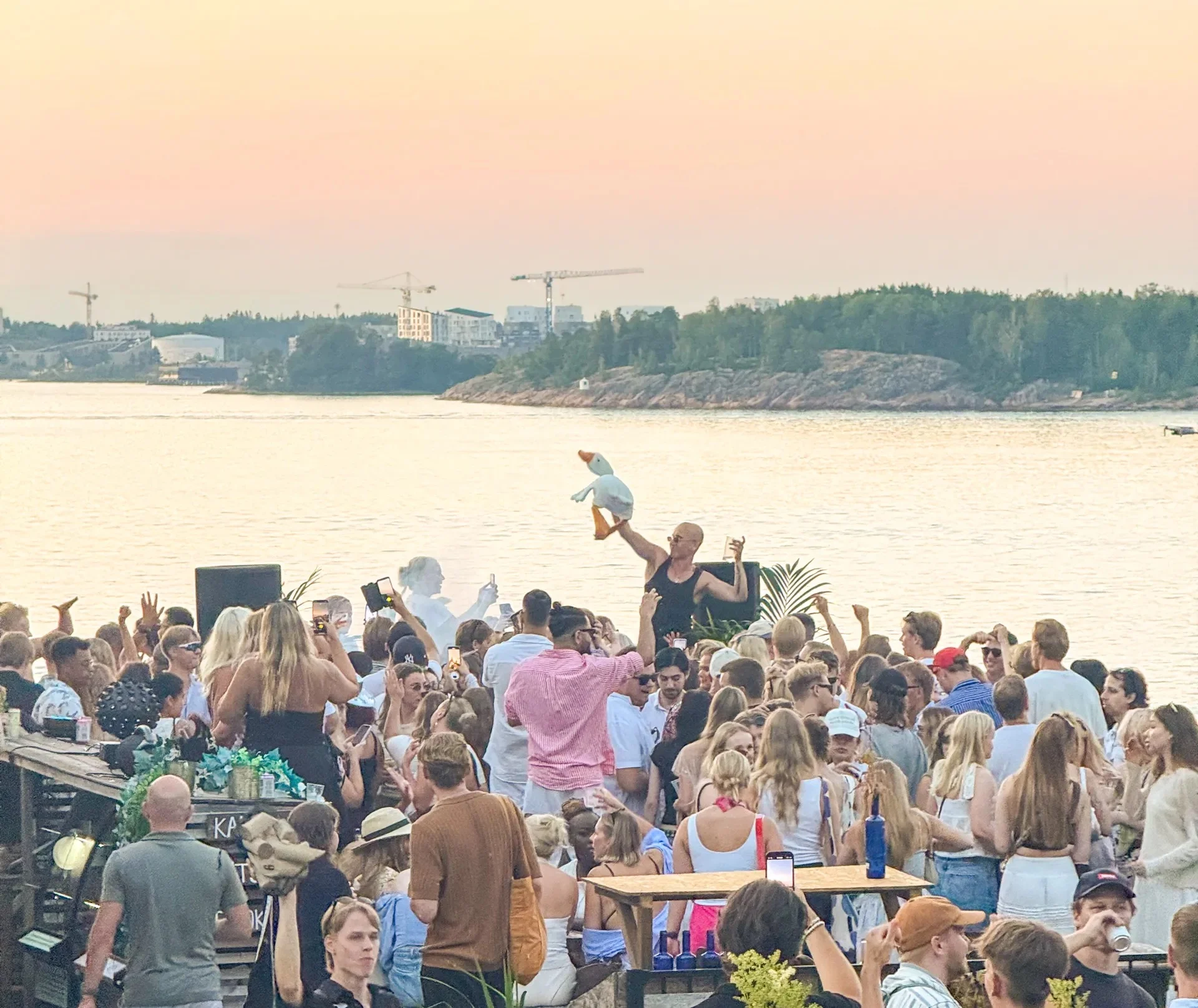 Iisi Vallisaari